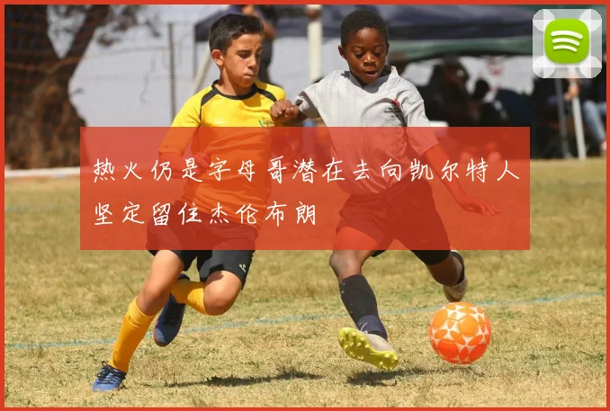 热火仍是字母哥潜在去向凯尔特人坚定留住杰伦布朗